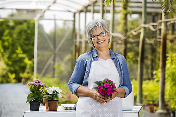 Image showing Working in a green house