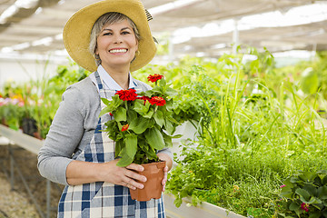 Image showing A day in a green house