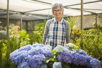 Image showing A day in a green house