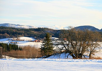 Image showing Winter landscape