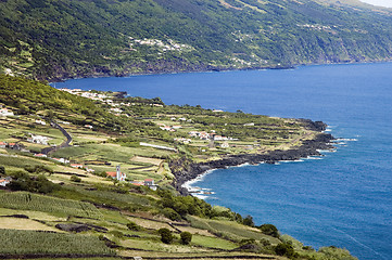 Image showing Shoreline of Pico Island