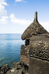 Image showing Basalt turret