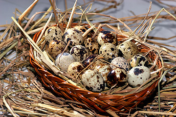 Image showing eggs on a bed of straw