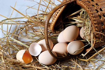 Image showing eggs on a bed of straw