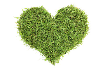 Image showing Grass cuttings in a heart shape