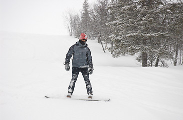 Image showing Snowboarder