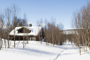 Image showing Winter Forest Cabin