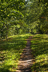 Image showing Deserted footpath in park