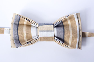 Image showing Modern butterfly bow tie