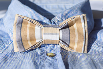 Image showing Butterfly bow tie on shirt