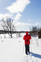 Image showing Cross Country Landscape