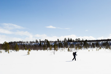 Image showing Cross Country Landscape