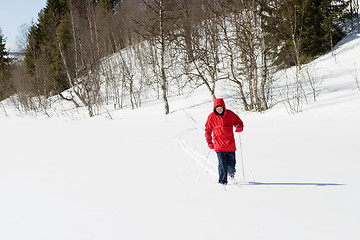 Image showing Cross Country Landscape