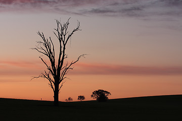 Image showing Dawn rural sillhouettes