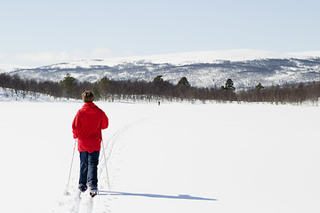 Image showing Cross Country Landscape