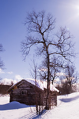 Image showing Winter Cabin