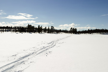 Image showing Cross Country Ski Trail