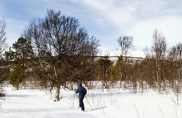 Image showing Cross Country Skiing