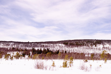 Image showing Frozen Lake