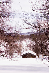 Image showing Barren Landscape