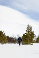 Image showing Cross Country Skiing