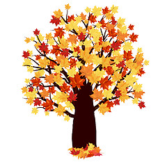 Image showing Autumn Maple Tree