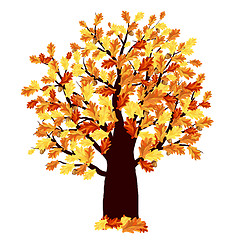 Image showing Autumn Oak Tree