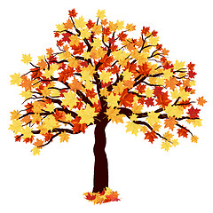 Image showing Autumn Maple Tree