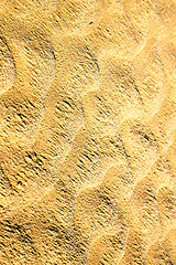 Image showing brown dry    desert  