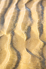 Image showing dune morocco in   sand beach near atlantic ocean