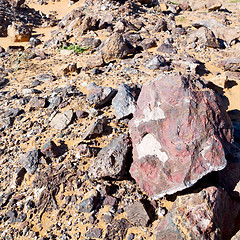 Image showing mountain old fossil in  the desert of morocco sahara and rock  s