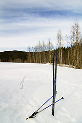 Image showing Skis in Snow