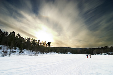 Image showing Skiing