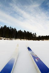 Image showing Skiing