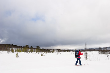 Image showing Skiing in Winter