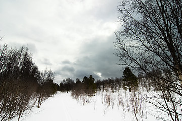 Image showing Winter Moody Landscape