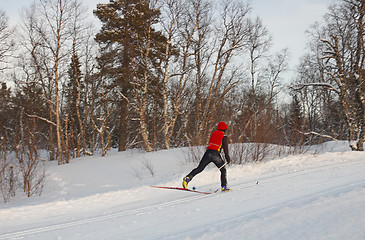 Image showing Cross country