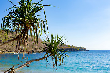 Image showing famous Crystal beach at Nusa Penida island