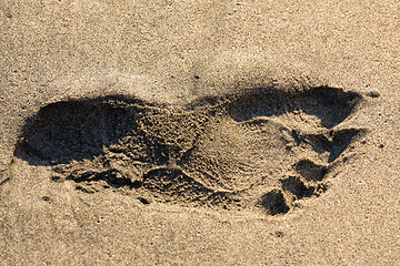 Image showing Footprints in the sand