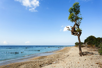 Image showing dream beach, Bali Indonesia, Nusa Penida island