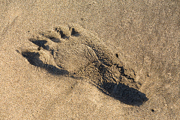 Image showing Footprints in the sand