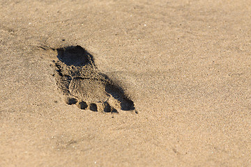 Image showing Footprints in the sand