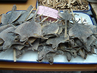 Image showing dried lizards in China