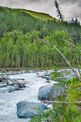 Image showing Mountain Altai. The river Akkem. Russia