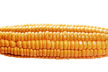 Image showing yellow ear of corn