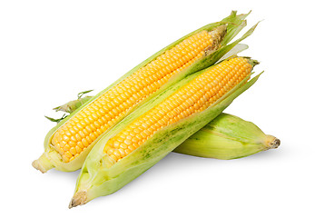 Image showing Three corn cob lying cross