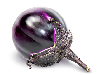 Image showing Single lying round ripe eggplant