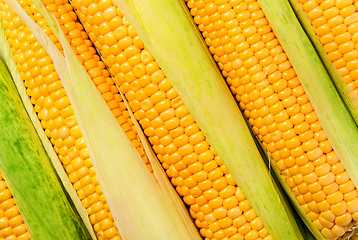 Image showing Stacked near peeled corn cobs diagonally