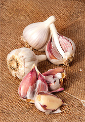 Image showing Garlic scattered on sackcloth