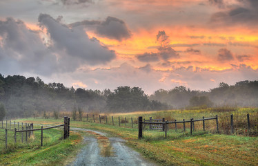 Image showing farmscape